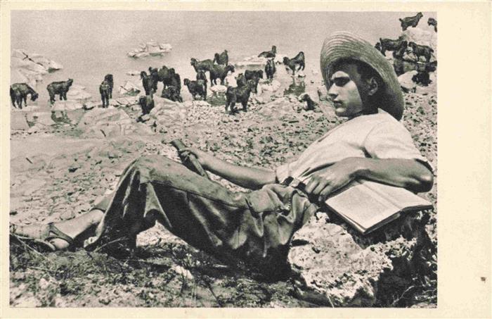 Galilee Galilaea Haifa Israel Jewish Shepherd