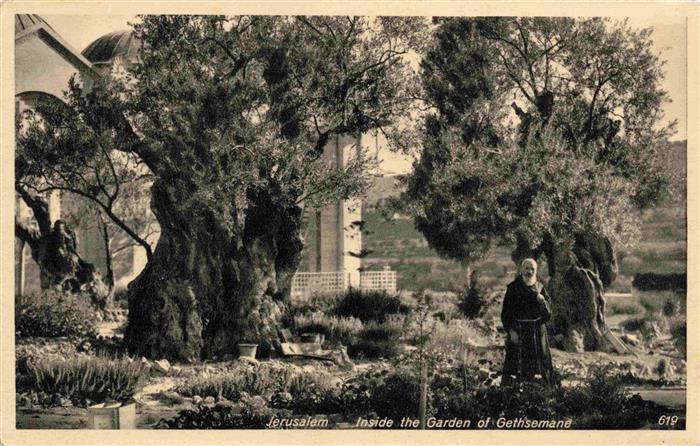 Jerusalem  Yerushalayim Israel Inside the Garden of Gethsemane