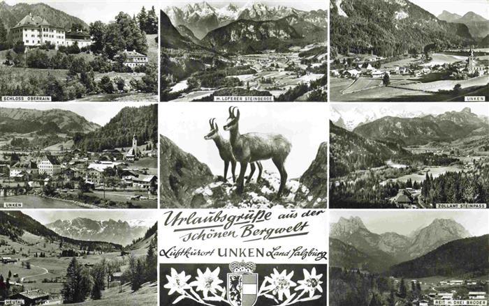 Unken Salzburg AT Schloss Oberrain Loferer Steinkogel Unken Heutal Gemsen Zollam