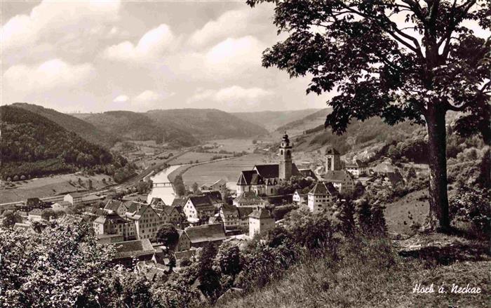 Horb Neckar Panorama