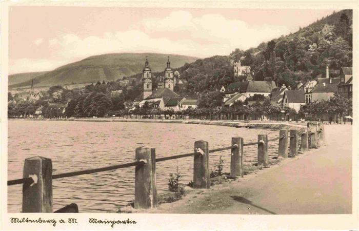 MILTENBERG Main Partie am Main