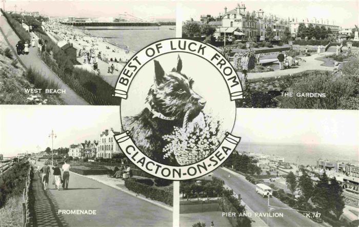 Clacton-on-Sea UK West Beach The Gardens Promenade Pier and Pavilion Dog