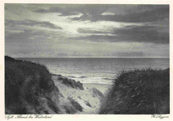 WESTERLAND Sylt Abends in den Dünen Strand Meerblick