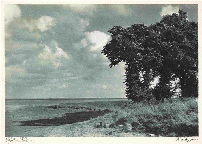 Keitum Sylt Panorama