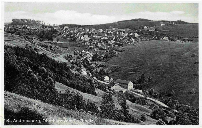 St Andreasberg Harz Treibholz Panorama