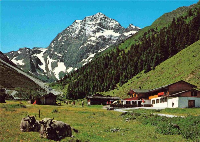 Neustift  Stubaital Tirol AT Alpengasthaus Pinnisalm Blick zum Habicht im Pinnis