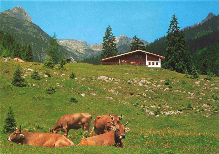Elbigenalp Lechtal Tirol AT Jausenstation Gibler-Alm mit Rotwandspitze Almvieh K