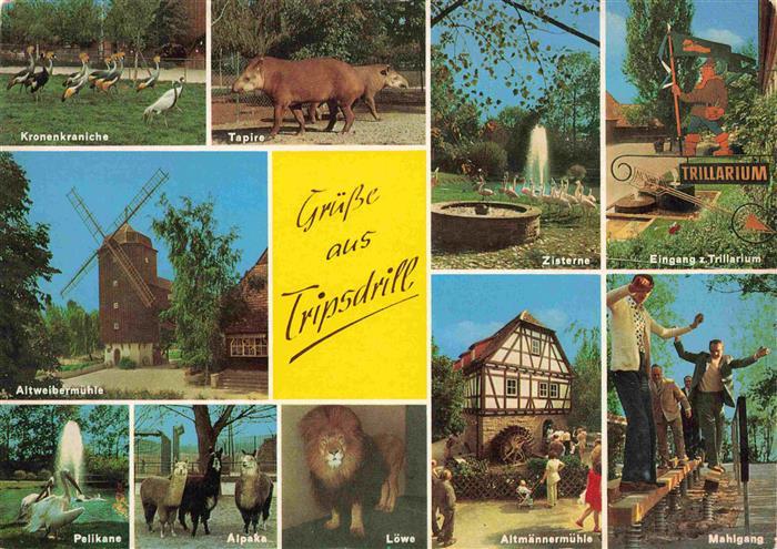 Cleebronn Altweibermuehle Tripsdrill Tierpark Oldtimerbahn Trillarium