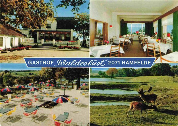 Hamfelde Lauenburg Gasthof Waldeslust Hahnheider Forst Wild