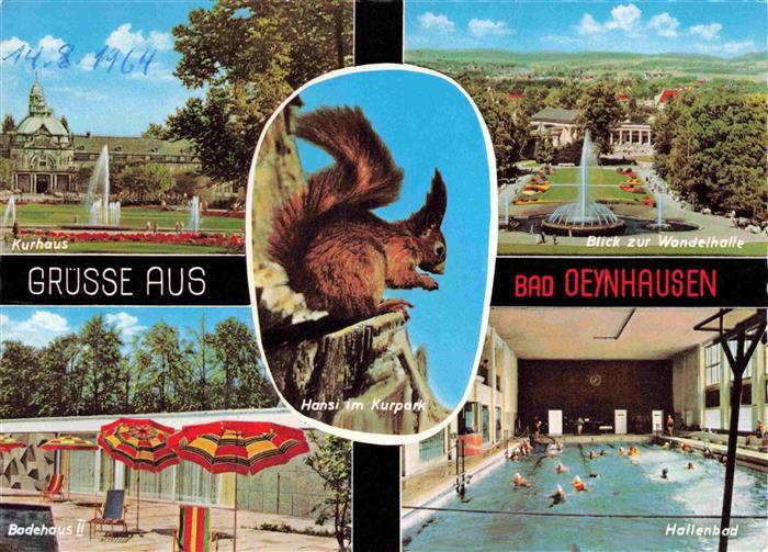 BAD OEYNHAUSEN Kurhaus Wandelhalle Badehaus Hallenbad Hansi im Kurpark Eichhoern