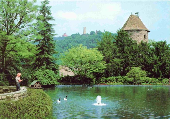 Weinheim Bergstrasse BW Wachenburg und Windeck der Blaue Hut Wasserspiegelung Sc