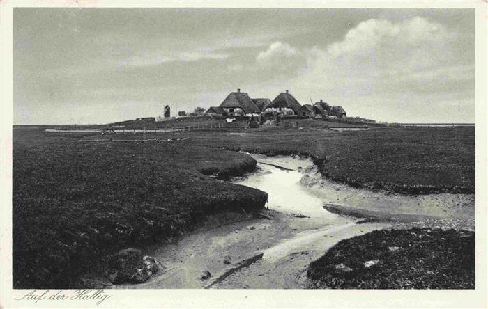 Hooge  Hallig Panorama