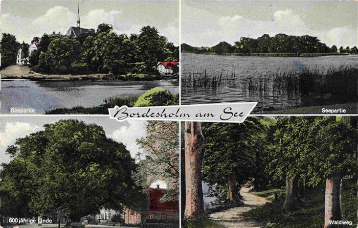 Bordesholm Rendsburg-Eckernfoerde Schleswig-Holstein Seepartien 600jaehrige Lind