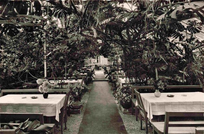 Lorch Remstal BW Waldkaffee Muckensee Wintergarten