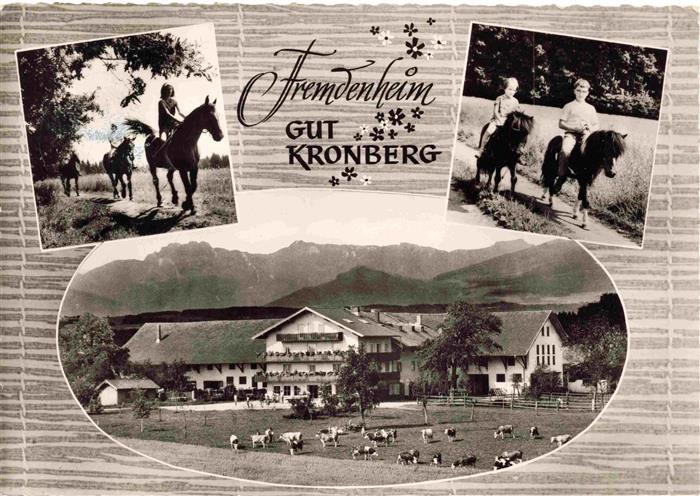 Hoeslwang Bayern Fremdenheim Gut Kronberg Pferdekoppel Ponyreiten