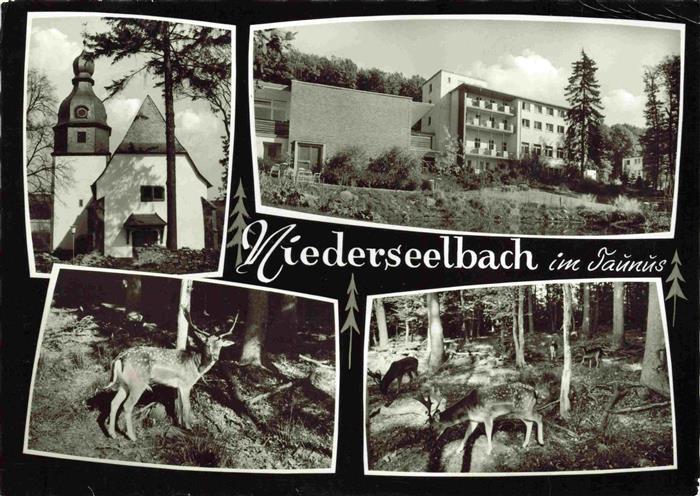Niederseelbach Niedernhausen Hessen Kirche Altenheim Hirsch Rehe