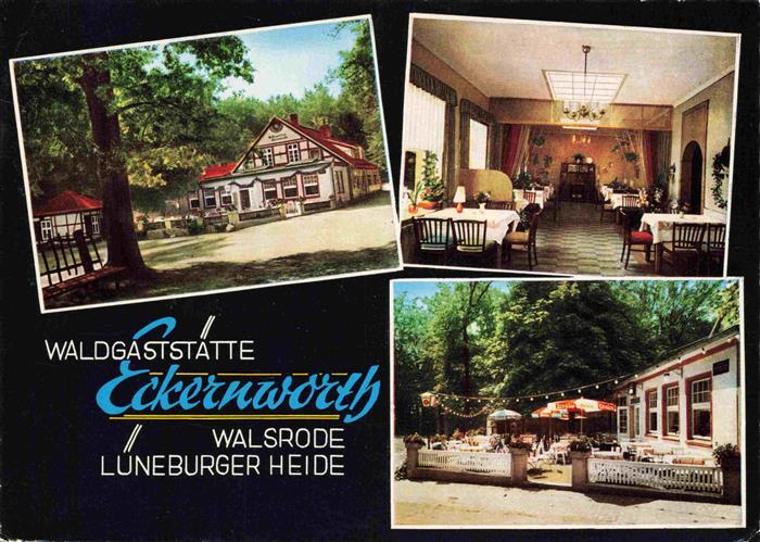 Walsrode Lueneburger Heide Waldgaststaette Eckernworth Gastraum Terrasse