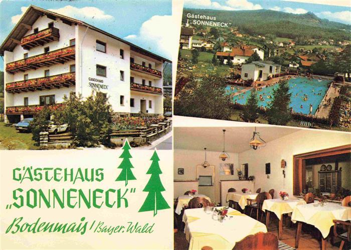 Bodenmais Regen Bayern Gaestehaus Sonneneck Gastraum Schwimmbad