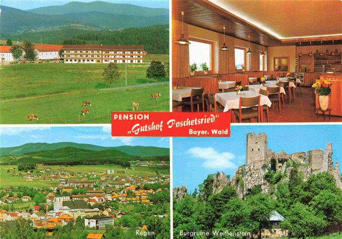 Poschetsried Pension Gutshof Poschetsried Gastraum Regen Burgruine Weissenstein