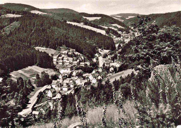 Lauterbach Schwarzwald Fliegeraufnahme