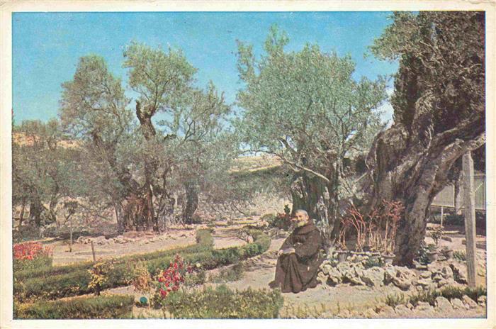 Jerusalem  Yerushalayim Israel The Garden of Gethsemane