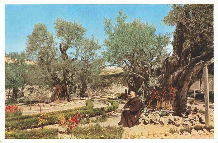 Jerusalem  Yerushalayim Israel The Garden of Gethsemane