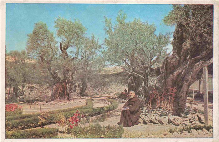Jerusalem  Yerushalayim Israel The Garden of Gethsemane