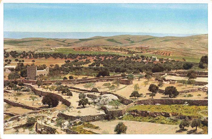 Bethlehem  Yerushalayim Israel View towards the Desert and the field of the Shep