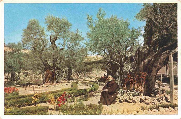 Jerusalem  Yerushalayim Israel The Garden of Gethsemane