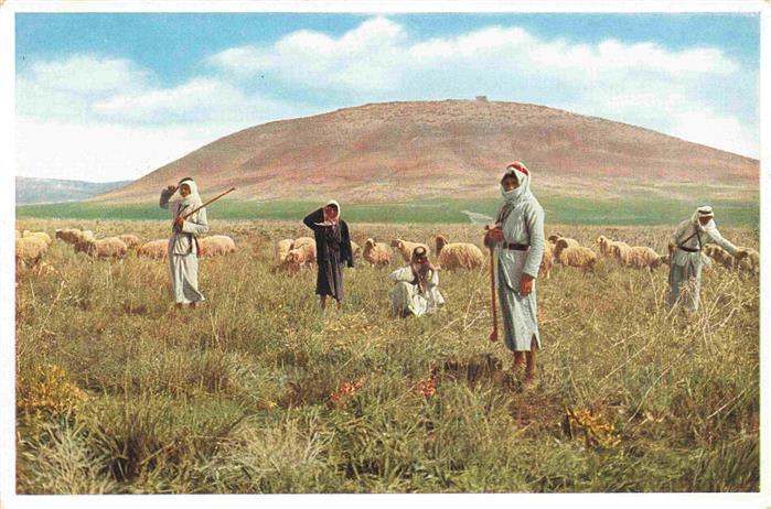 Jezreel Mount Tabor and shepherds in the Plain of Jezreel