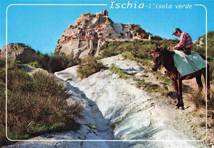 Isola d Ischia Un paradiso nel Mediterraneo