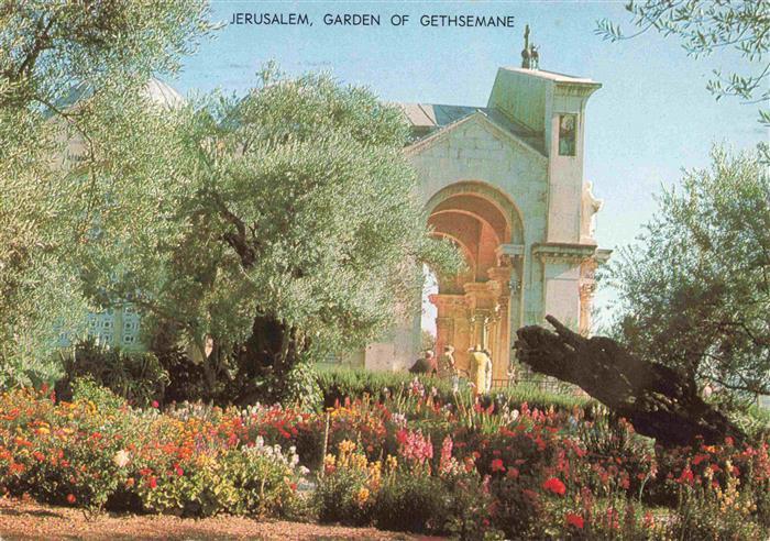 Jerusalem  Yerushalayim Israel The Garden of Genthsemane