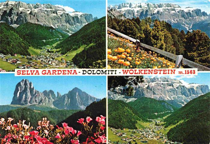 Wolkenstein Groeden Selva Val Gardena Suedtirol IT Panorama Alpenflora Dolomiten