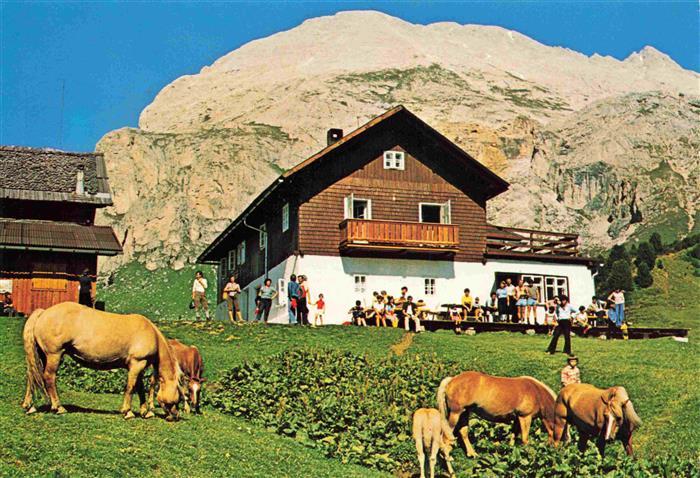 Seiseralm Alpe di Siusi Trentino IT Berggasthof Zallinger Pferde