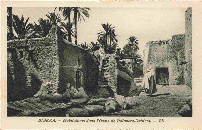 Biskra Algerie habitations dans l'Oasis de Palmiers Dattiers