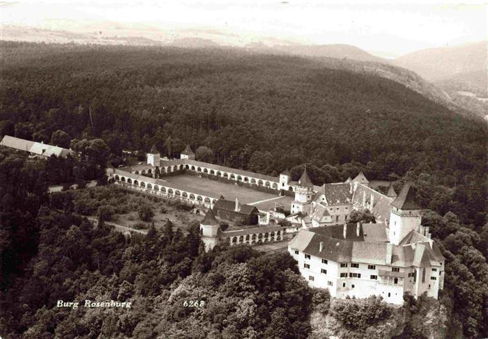 Rosenburg Burg Riedenburg Altmuehltal Bayern Fliegeraufnahme Burg Rosenburg