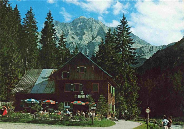 Hetzau Gruenau Almtal Almtalerhaus mit Schermberg