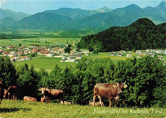 Niederndorf Kufstein Panorama