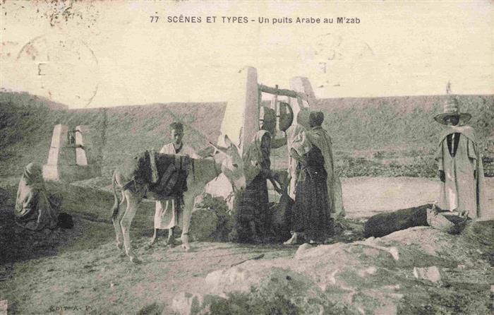 Esel Tiere Scenes et Types Arabe au M zab