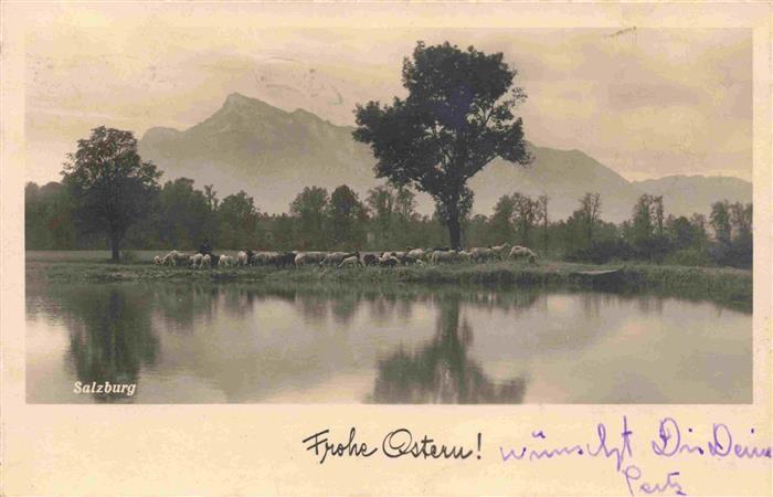 Schaeferei Sheperding Bergerie-- Salzburg Ostern