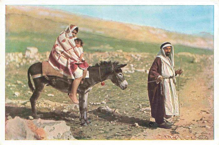 Esel Tiere Palestine D. People