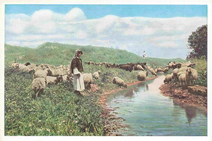 Schaeferei Sheperding Bergerie-- Palestine D. People