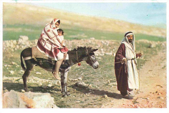 Esel Tiere Die Flucht nach aegypten