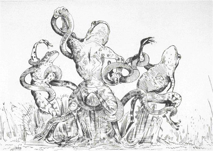 Froesche Wilhelm Hoepfner