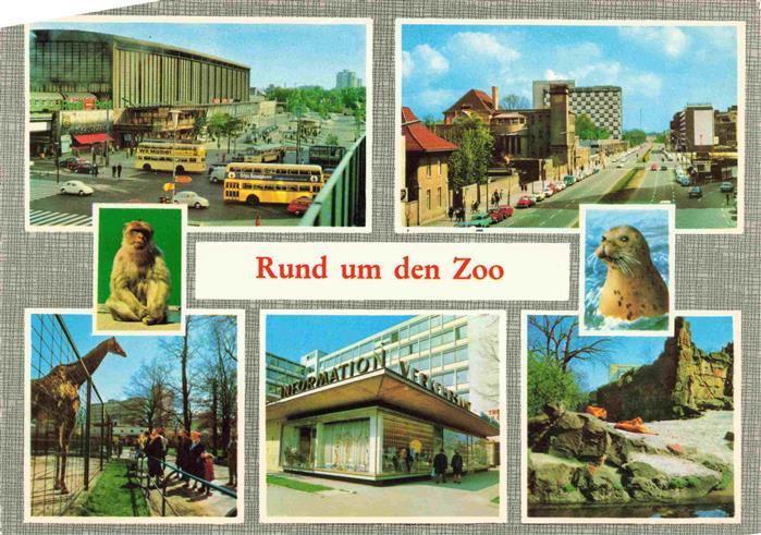 Zoo Gardin Zoologique-- Berlin
