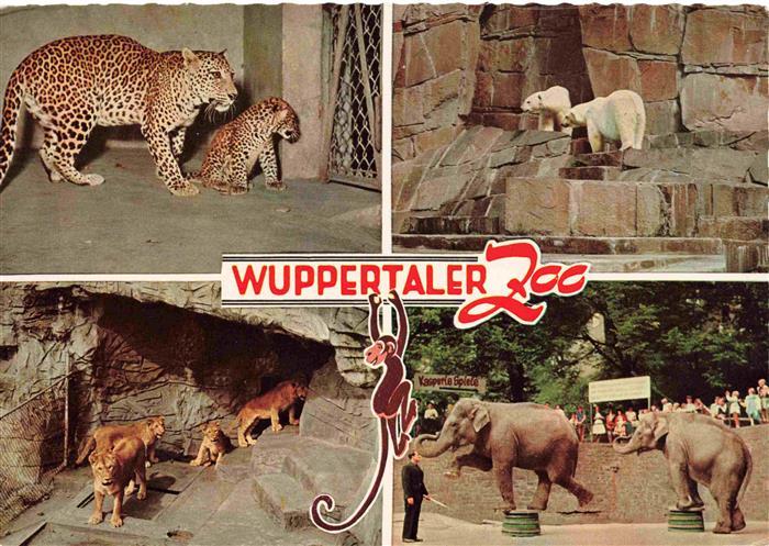 Zoo Gardin Zoologique-- Wuppertal Elefanten Loewen Eisbaeren