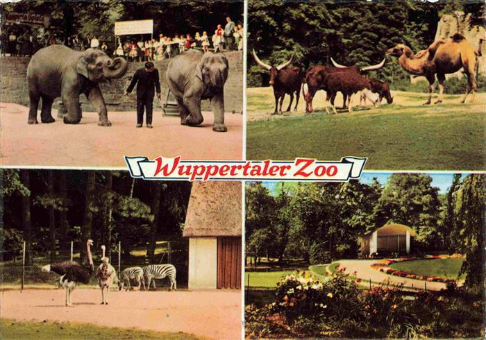 Zoo Gardin Zoologique-- Wuppertal Elefanten Zebras Kamel