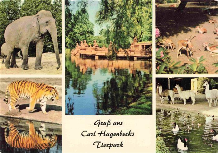 Zoo Gardin Zoologique-- Carl Hagenbeck Hamburg Elefant Tieger Lama