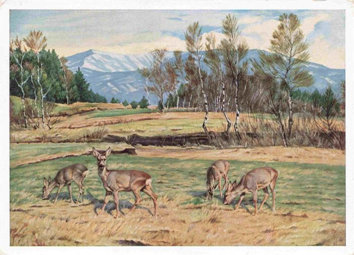 Verlag HDK Haus der Deutschen Kunst Nr. 171 Muenchen Heinrich Schuetz Fruehling