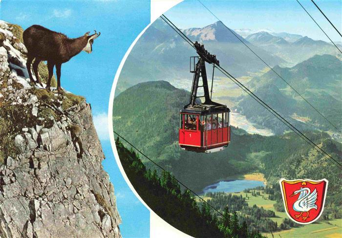 Seilbahn Cable-Car Telepherique Tegelberg Schwangau Allgaeu Gemse